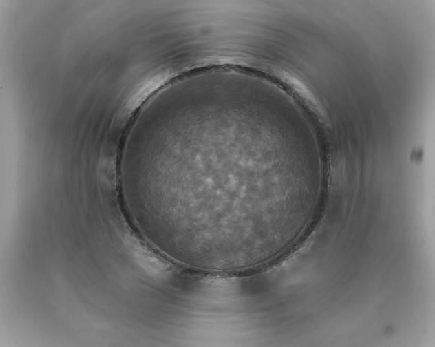 X0000090440977200707272151