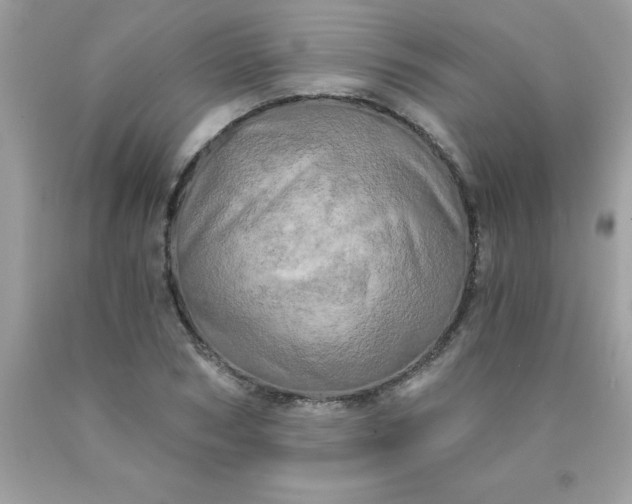 X0000090440978200707272151