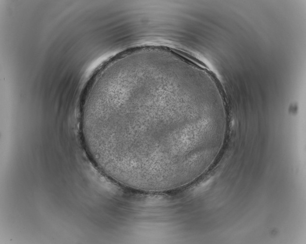 X0000090440979200707272151