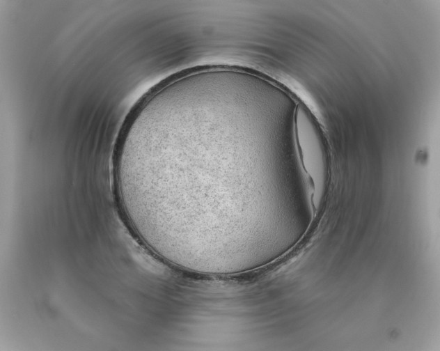 X0000090440980200707272151