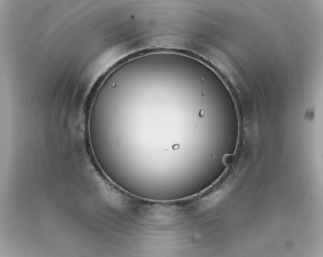 X0000090440981200707272151