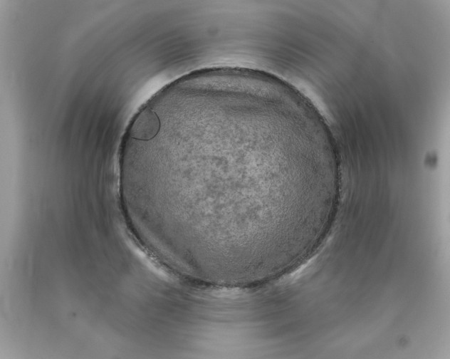 X0000090440982200707272151