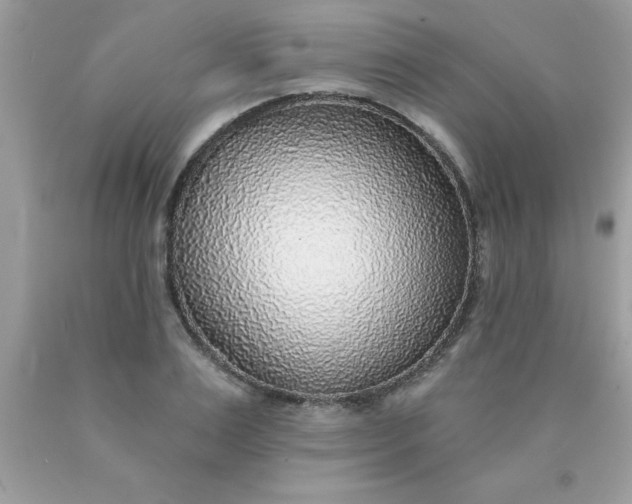 X0000090440983200707272151