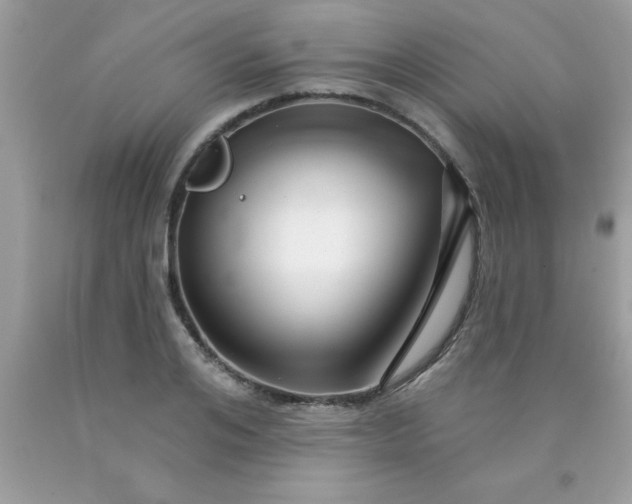 X0000090440984200707272151