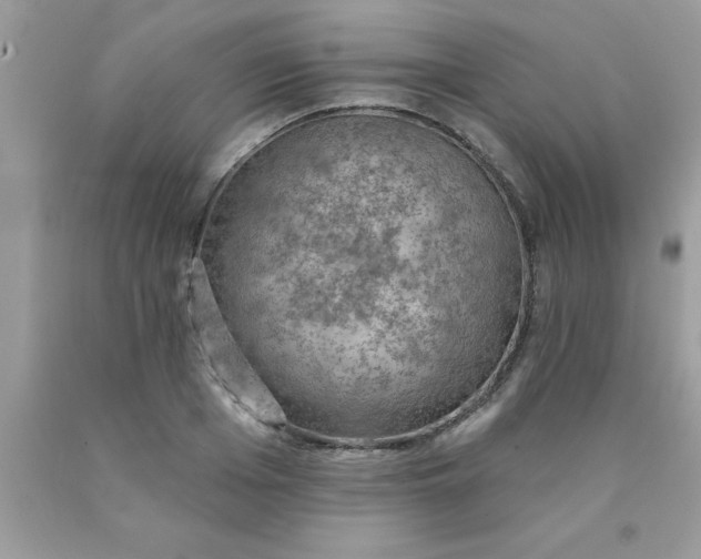 X0000090440985200707272151