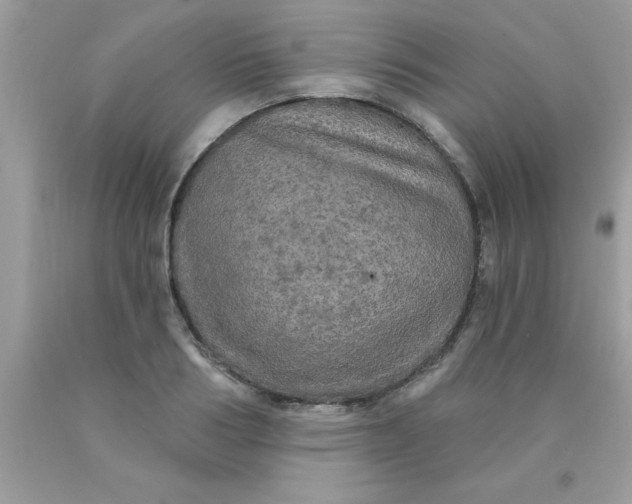 X0000090440986200707272151