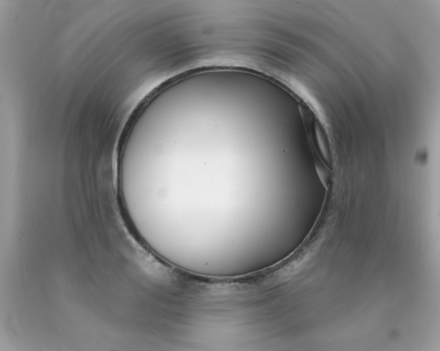 X0000090440988200707272151