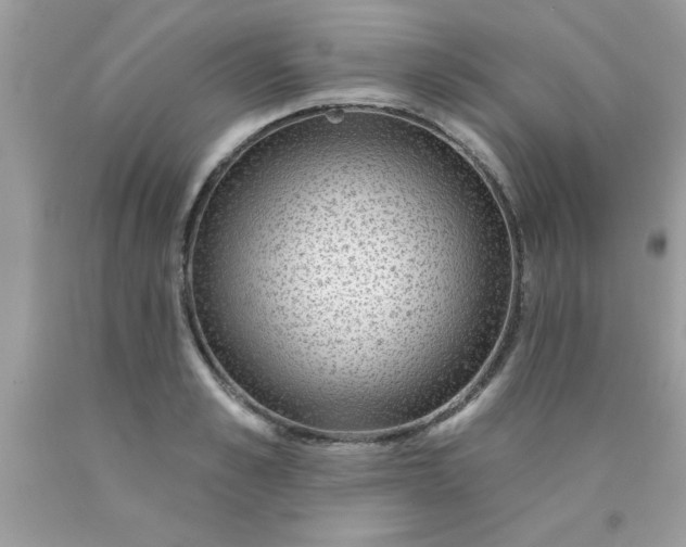 X0000090440989200707272150