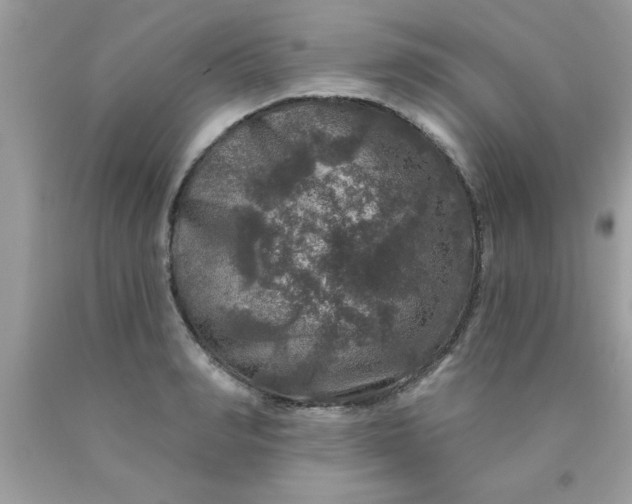 X0000090440990200707272150