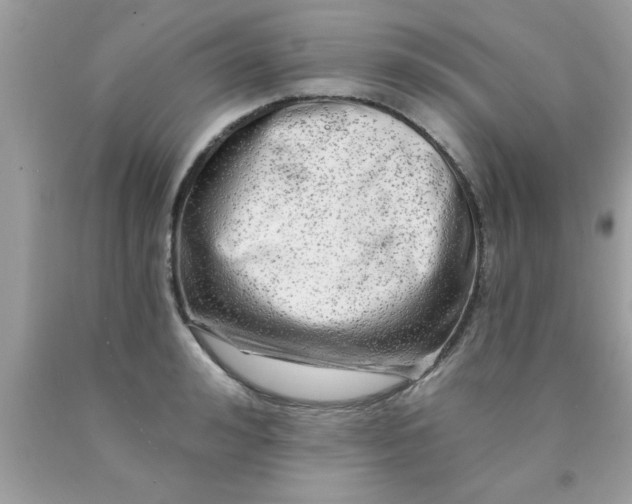 X0000090440992200707272150