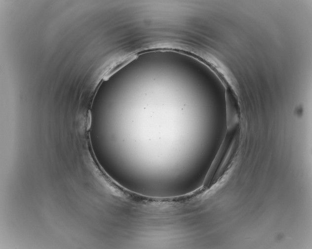 X0000090440993200707272150