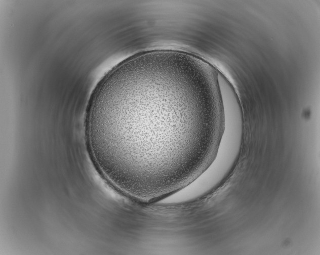 X0000090440995200707272150