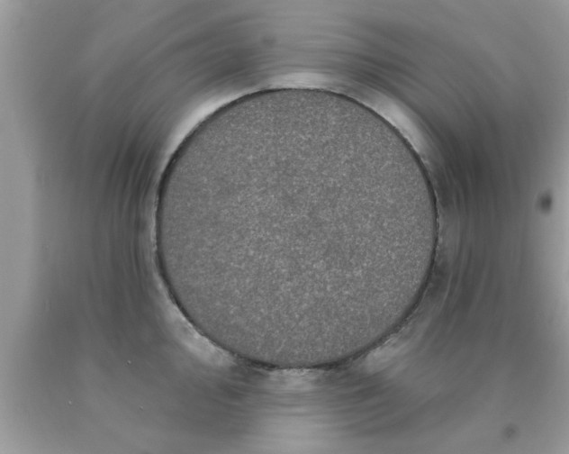 X0000090441000200707272150