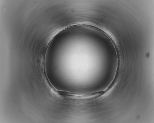 X0000090441001200707272150