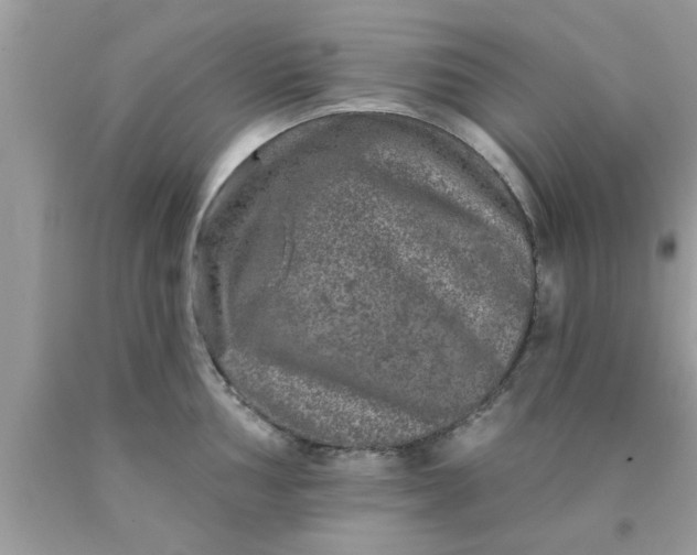 X0000090441002200707272150