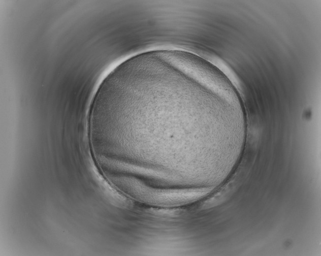 X0000090441004200707272150