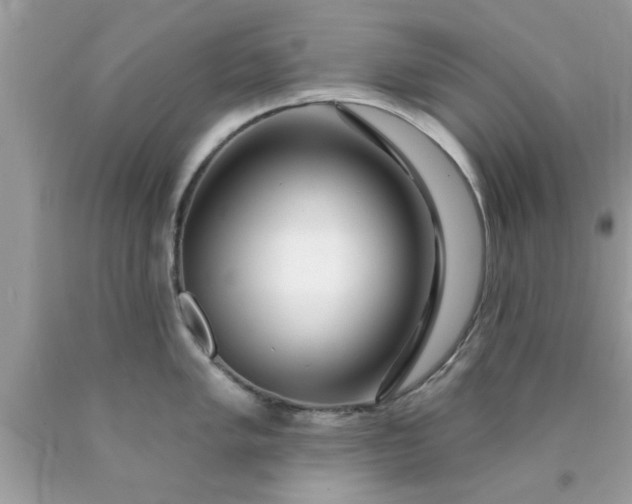 X0000090441005200707272150