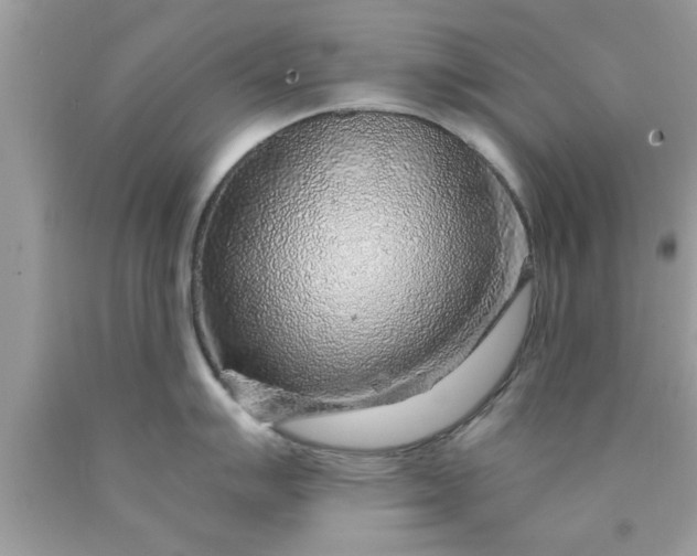 X0000090441007200707272150