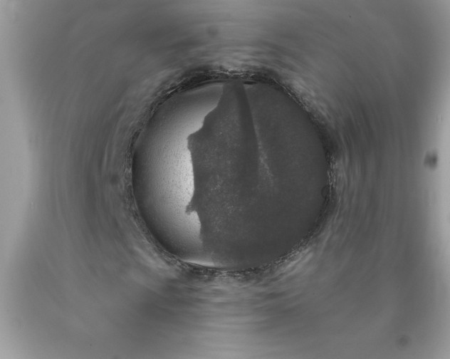 X0000090441009200707272149