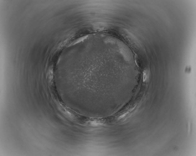 X0000090441011200707272150