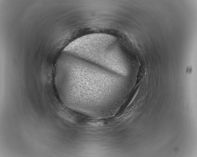 X0000090441012200707272150