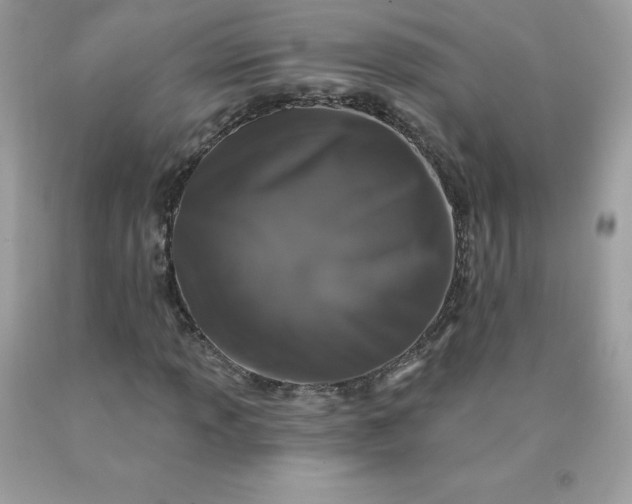 X0000090441013200707272150