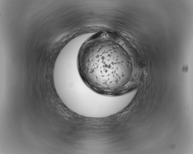 X0000090441014200707272150