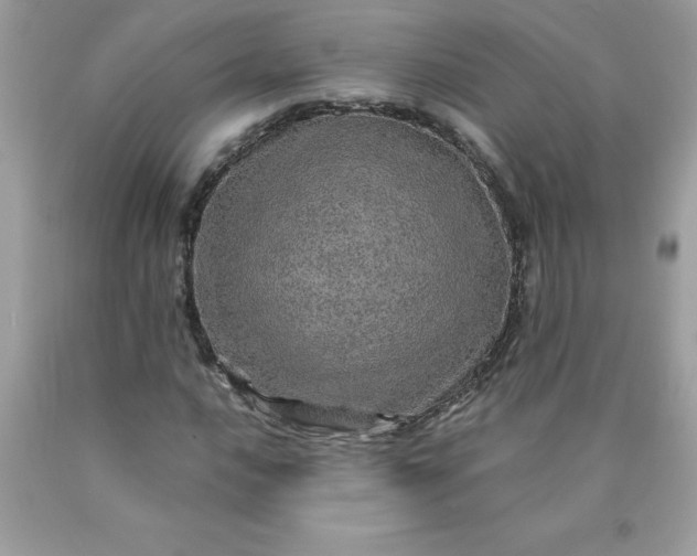 X0000090441016200707272150