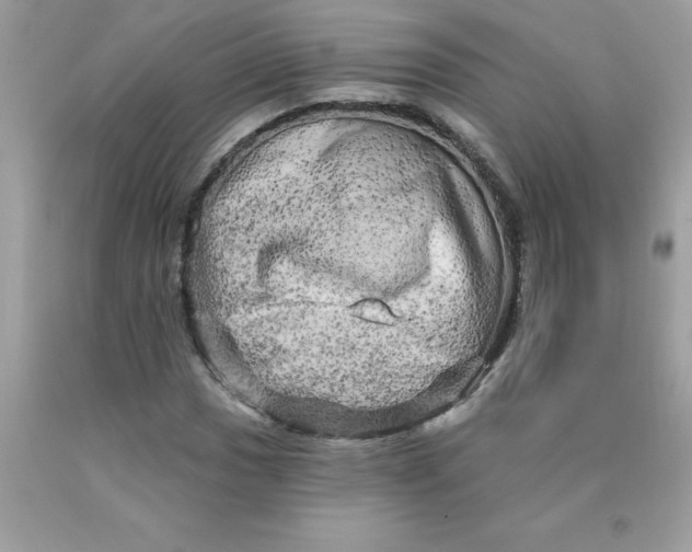 X0000090441017200707272150