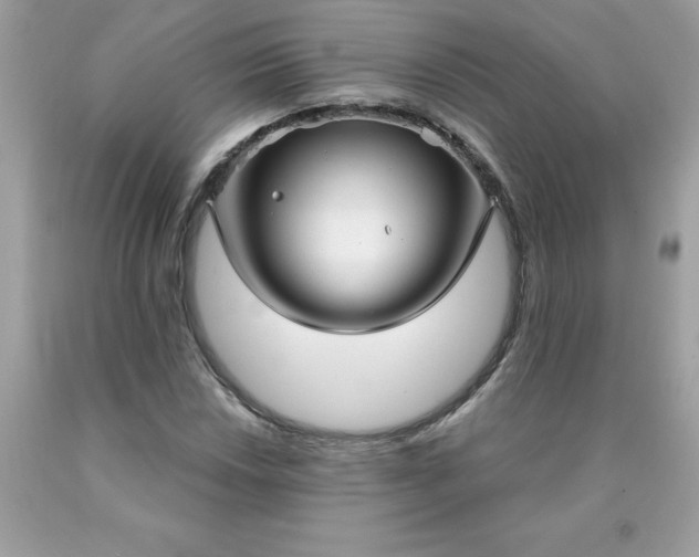 X0000090441018200707272150