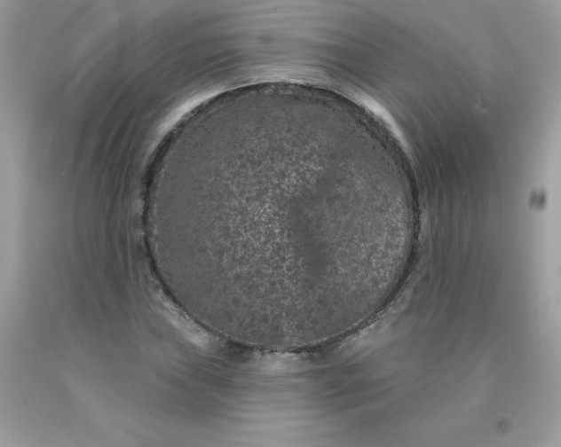 X0000090441019200707272150