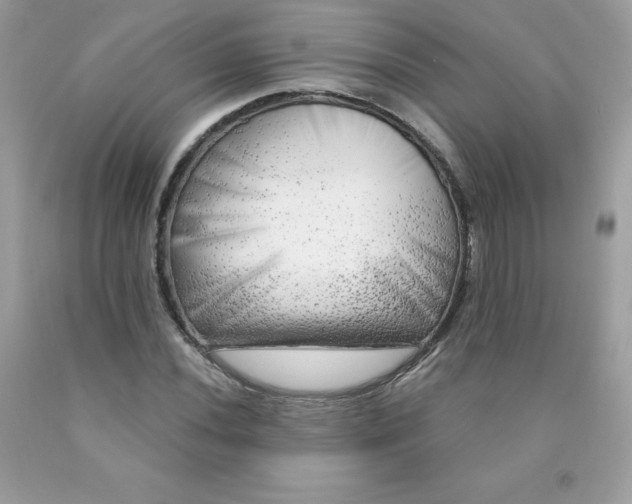 X0000090441020200707272150