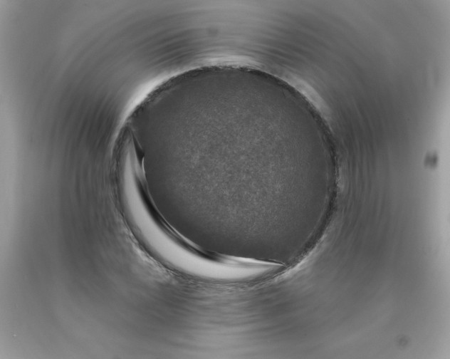 X0000090441022200707272150