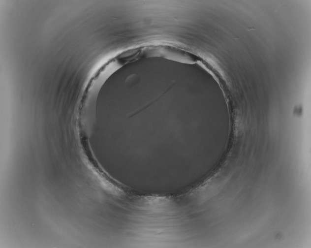 X0000090441024200707272150