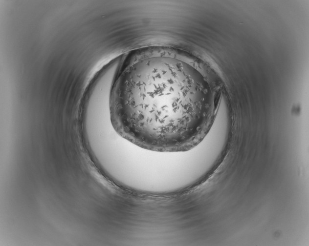 X0000090441026200707272150