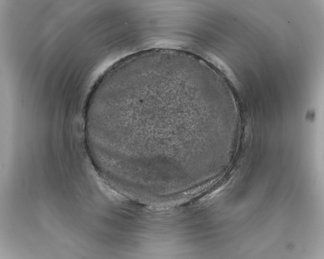 X0000090441027200707272150