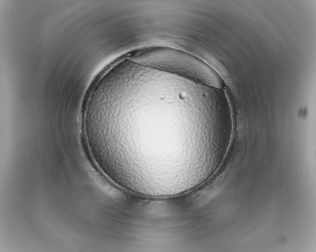 X0000090441028200707272150