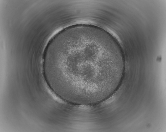 X0000090441029200707272150