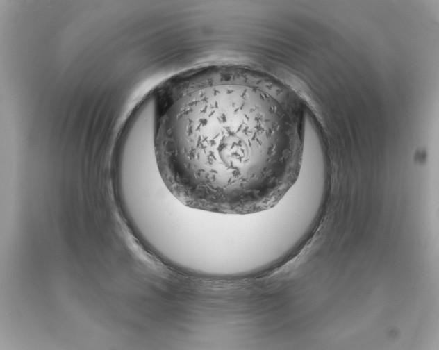 X0000090441030200707272150