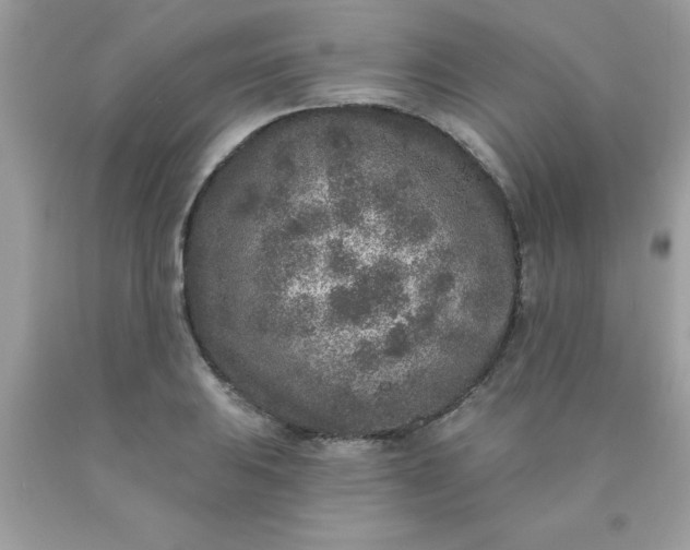 X0000090441031200707272150