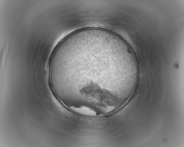 X0000090441032200707272150