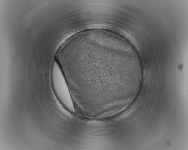 X0000090441033200707272150