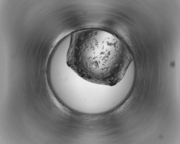 X0000090441034200707272150