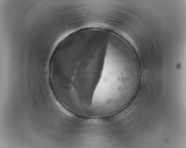 X0000090441037200707272150