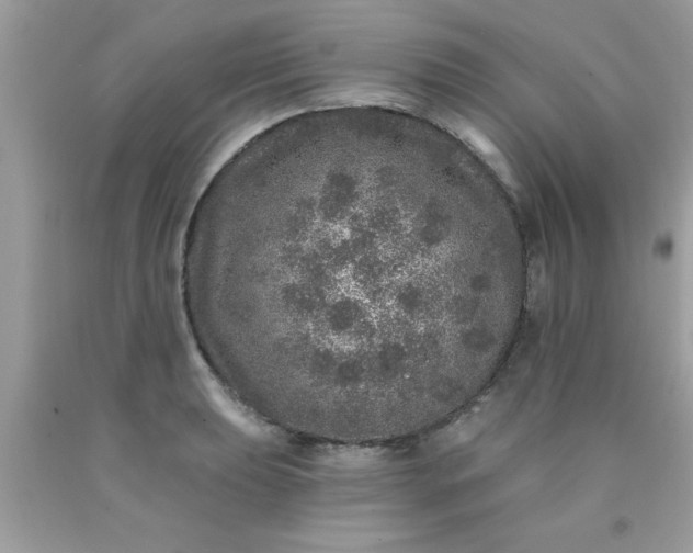 X0000090441039200707272150