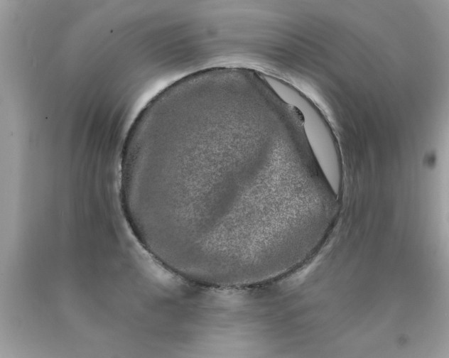 X0000090441040200707272150