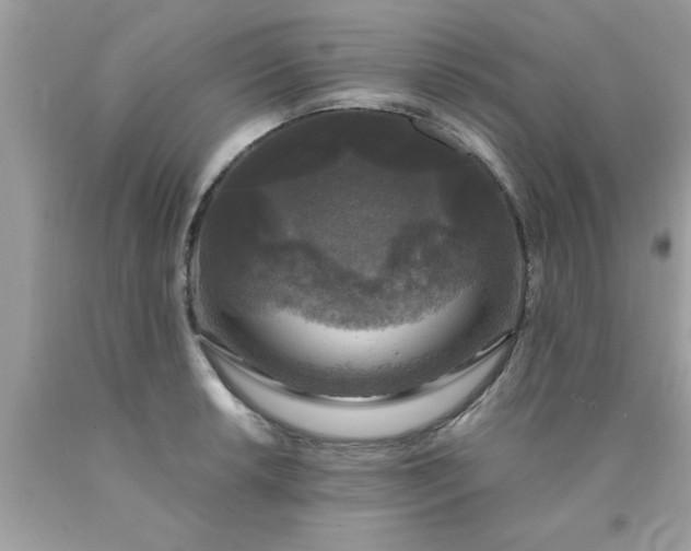 X0000090441042200707272150