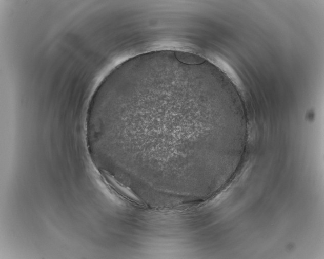 X0000090441043200707272150