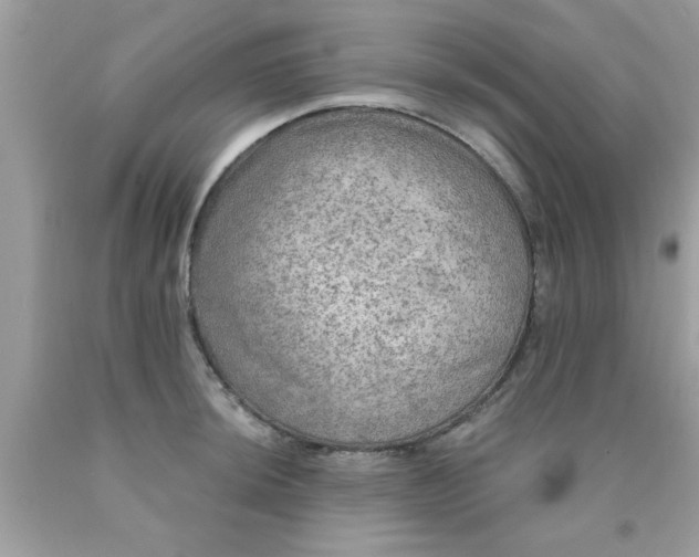 X0000090441044200707272150