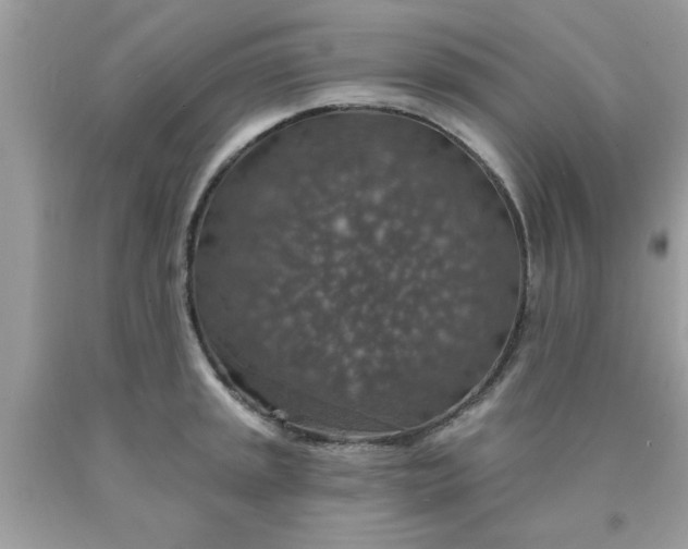 X0000090441045200707272150